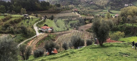 3 غرف نوم منزل في Celorico de Basto, Portugal رقم 178206 8