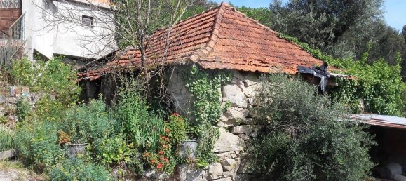 3 غرف نوم منزل في Celorico de Basto, Portugal رقم 178206 4