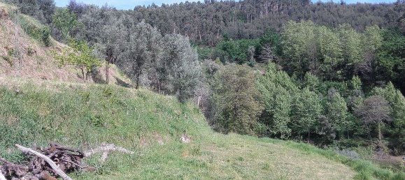 3 غرف نوم منزل في Celorico de Basto, Portugal رقم 178206 5