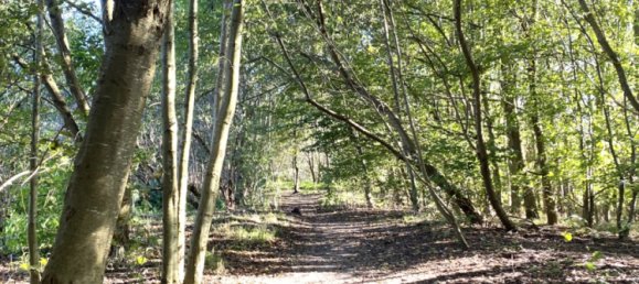 Таунхаус с 3 комнатами в Эмсланд, Германия № 342067 26