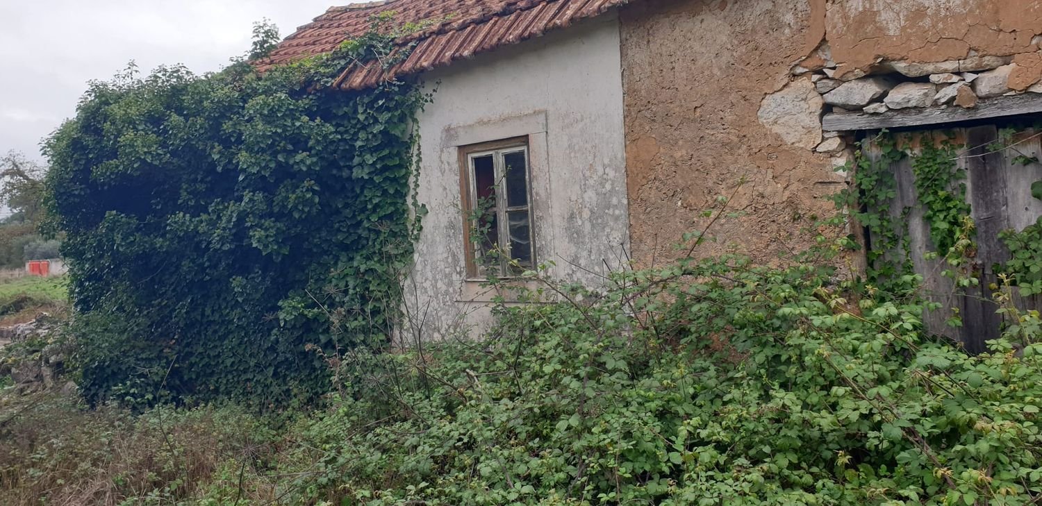 Terrain à Sao Mamede, Portugal No. 269035