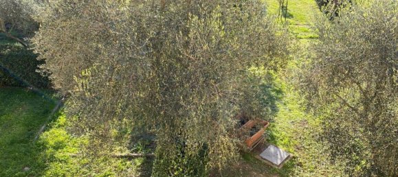 8-Zimmer Villa in Impruneta, Italy, Nr. 216796 12