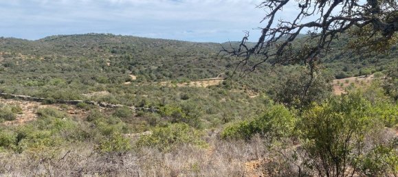 15564m² Land in Paderne, Portugal No. 60547 10