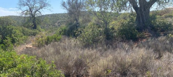 15564m² Land in Paderne, Portugal No. 60547 5