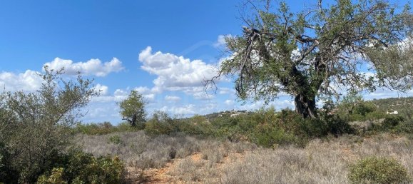 15564m² Land in Paderne, Portugal No. 60547 6