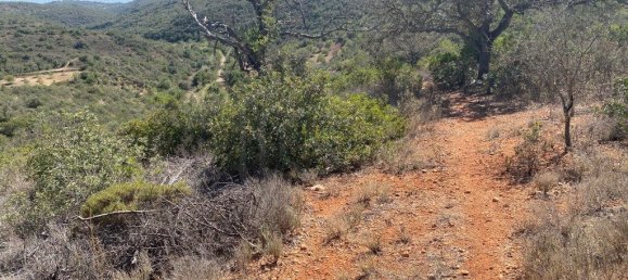 15564m² Land in Paderne, Portugal No. 60547 13