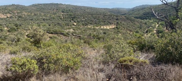 15564m² Land in Paderne, Portugal No. 60547 9