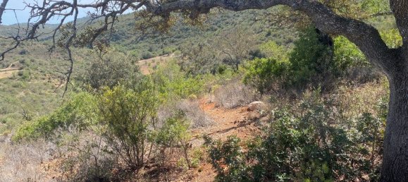 15564m² Land in Paderne, Portugal No. 60547 11