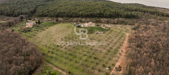 10غرفة منزل في Montecchio, Italy رقم 237806 36