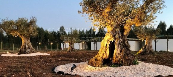 Hotel T9 em São Teotónio, Portugal N.º 56457 33