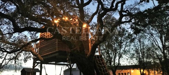 Hotel T9 em São Teotónio, Portugal N.º 56457 38