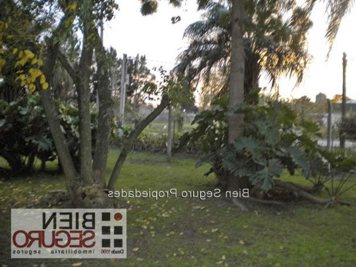 3 غرف نوم قطعة أرض في Montevideo, Uruguay رقم 16204