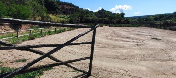 23000m² Land in Viterbo, Italy No. 263228 25