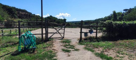 23000m² Land in Viterbo, Italy No. 263228 30