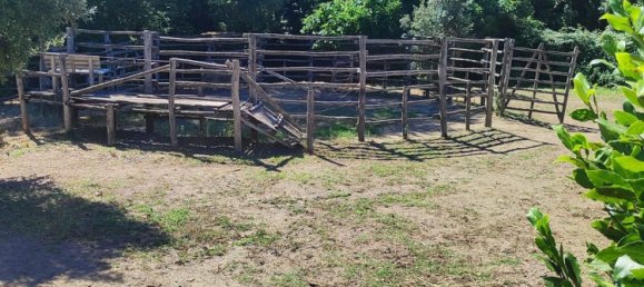 23000m² Land in Viterbo, Italy No. 263228 7