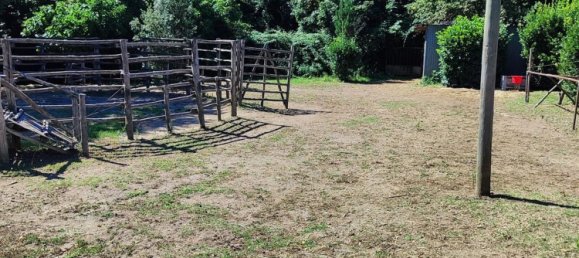 23000m² Land in Viterbo, Italy No. 263228 34