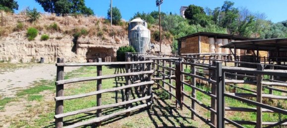 23000m² Land in Viterbo, Italy No. 263228 22