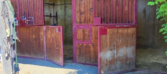 23000m² Land in Viterbo, Italy No. 263228 8