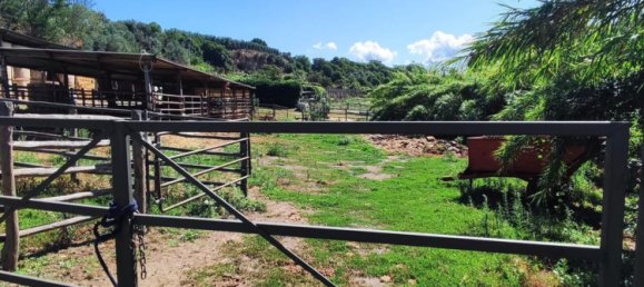 23000m² Land in Viterbo, Italy No. 263228 23