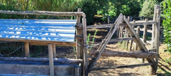 23000m² Land in Viterbo, Italy No. 263228 2