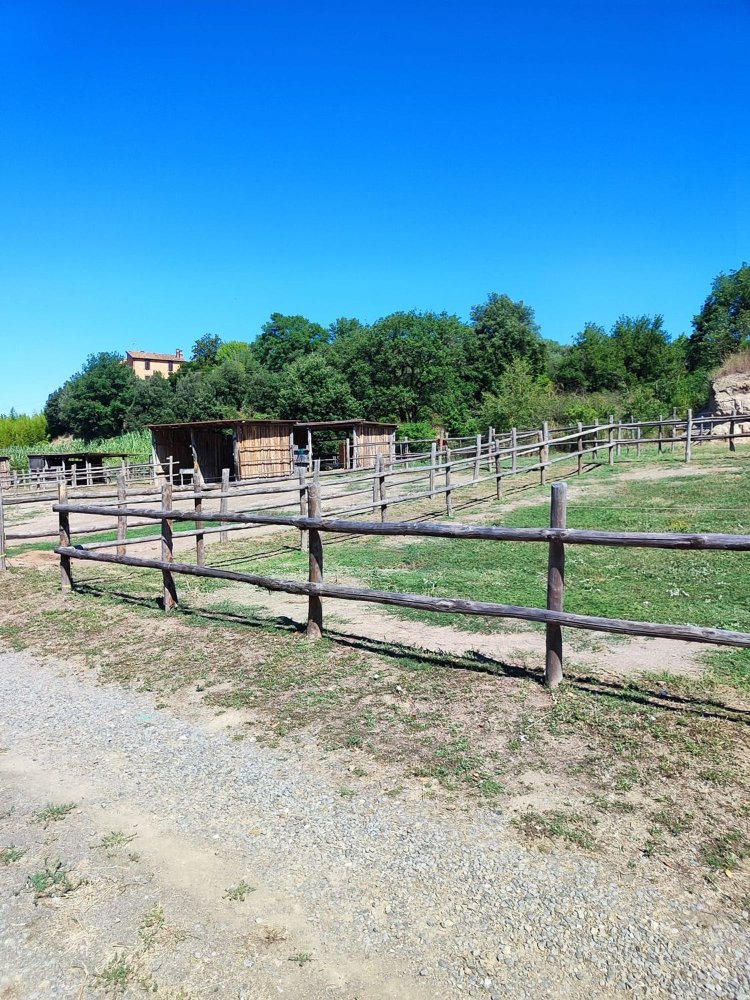 23000m² Land in Viterbo, Italy No. 263228
