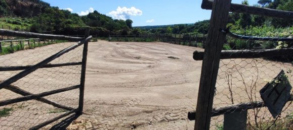 23000m² Land in Viterbo, Italy No. 263228 39