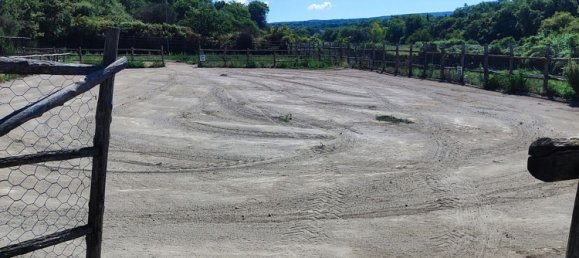 23000m² Land in Viterbo, Italy No. 263228 38
