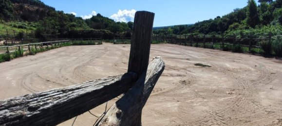 23000m² Land in Viterbo, Italy No. 263228 45