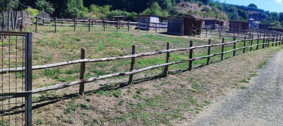 23000m² Land in Viterbo, Italy No. 263228 24