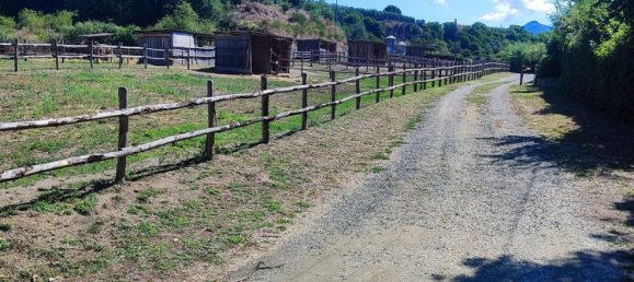 23000m² Land in Viterbo, Italy No. 263228 10