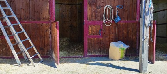 23000m² Land in Viterbo, Italy No. 263228 21