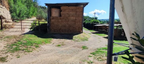 23000m² Land in Viterbo, Italy No. 263228 27