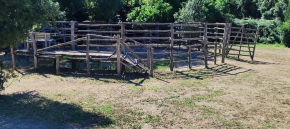 23000m² Land in Viterbo, Italy No. 263228 4