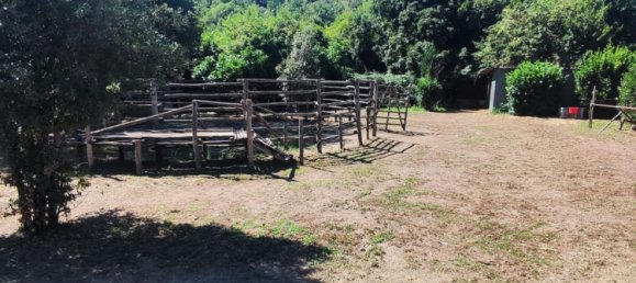 23000m² Land in Viterbo, Italy No. 263228 43