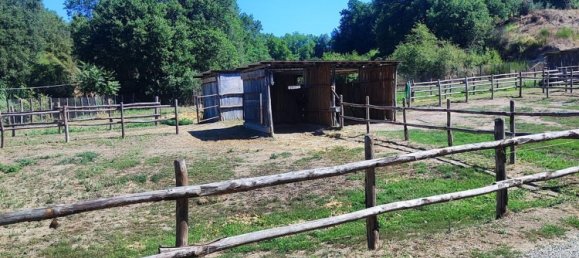 23000m² Land in Viterbo, Italy No. 263228 9