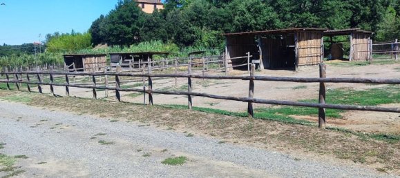 23000m² Land in Viterbo, Italy No. 263228 31