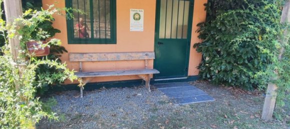 23000m² Land in Viterbo, Italy No. 263228 26