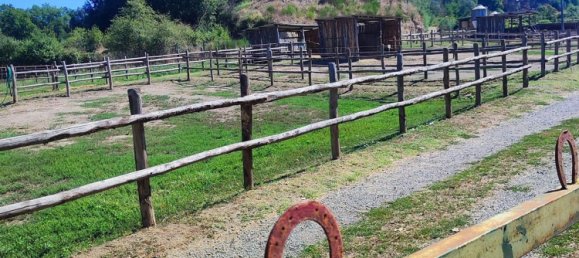 23000m² Land in Viterbo, Italy No. 263228 3