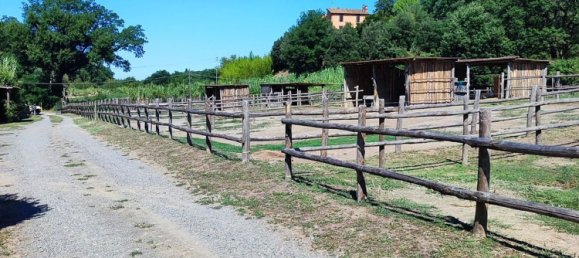 23000m² Land in Viterbo, Italy No. 263228 17