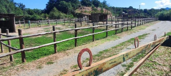 23000m² Land in Viterbo, Italy No. 263228 32