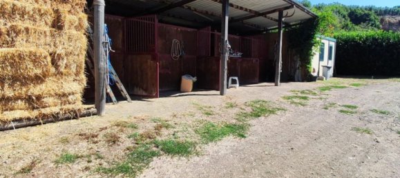 23000m² Land in Viterbo, Italy No. 263228 14