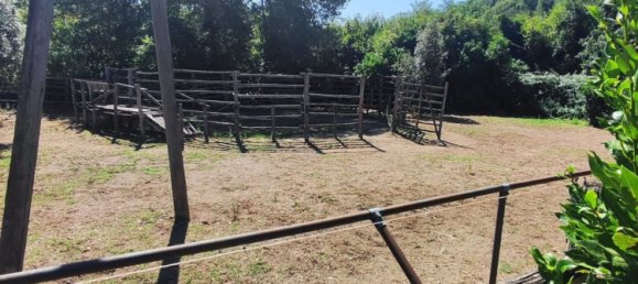 23000m² Land in Viterbo, Italy No. 263228 19