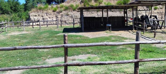 23000m² Land in Viterbo, Italy No. 263228 5