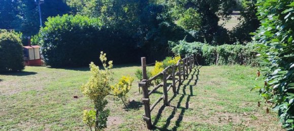 23000m² Land in Viterbo, Italy No. 263228 12