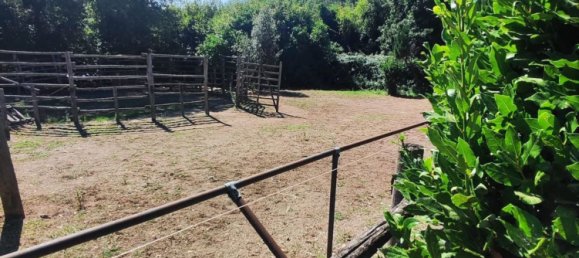 23000m² Land in Viterbo, Italy No. 263228 16