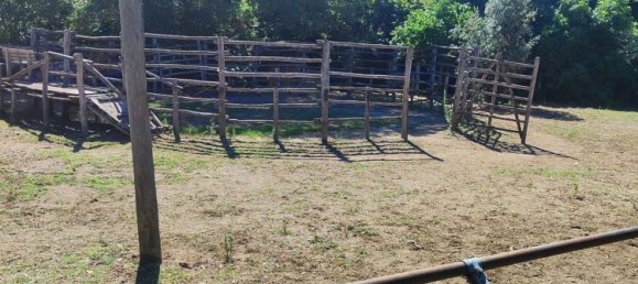 23000m² Land in Viterbo, Italy No. 263228 6