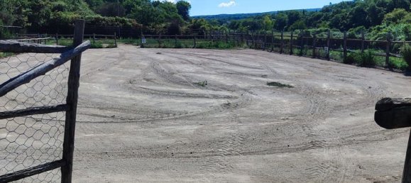 23000m² Land in Viterbo, Italy No. 263228 15