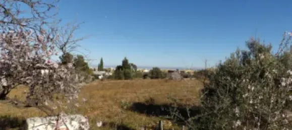 17200m² Land in Castellon, Spain No. 155554 4