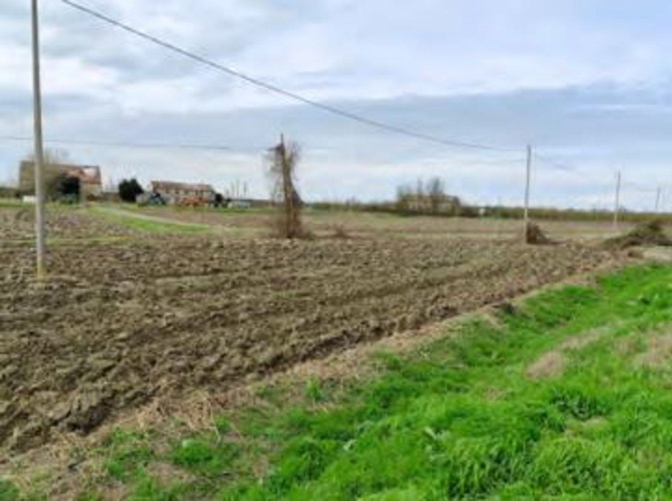 Grundstück in Canaro, Italy 26063m², Nr. 281161