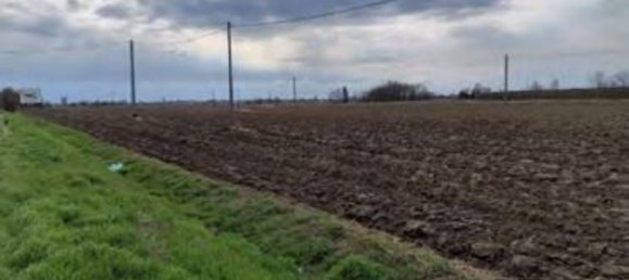 Grundstück in Canaro, Italy 26063m², Nr. 281161 7